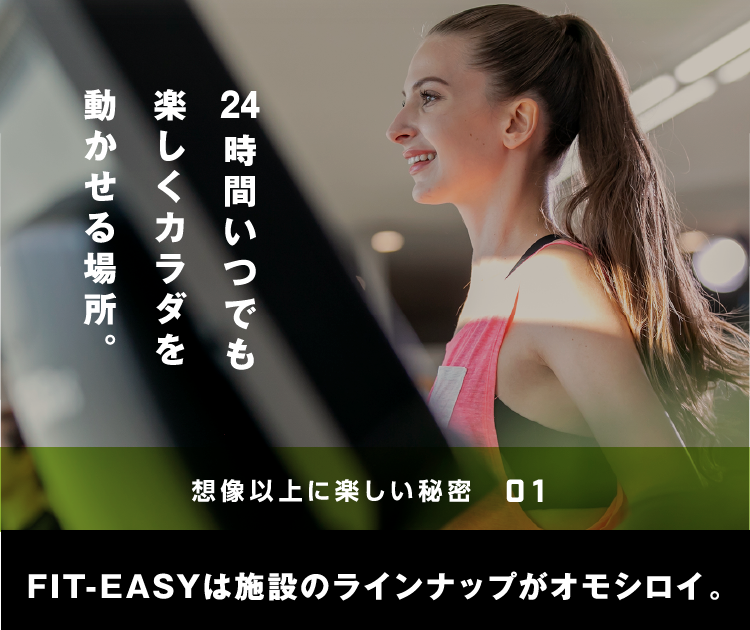 FIT-EASYは世説のラインナップがオモシロイ